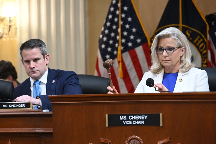House Reps. Adam Kinzinger (r-Ill.) and Liz Cheney (R-Wyo.)  (Getty Images)  
